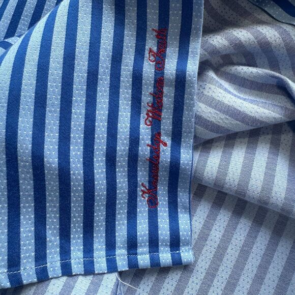 Robert Graham Long Sleeve Button Down Shirt Size 16.5 42 Blue Striped - Picture 6 of 14